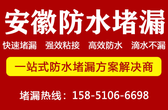 亚洲精品久久国产高清情趣