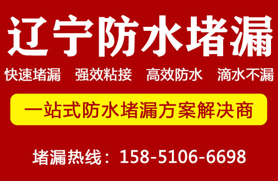 亚洲精品久久国产高清情趣