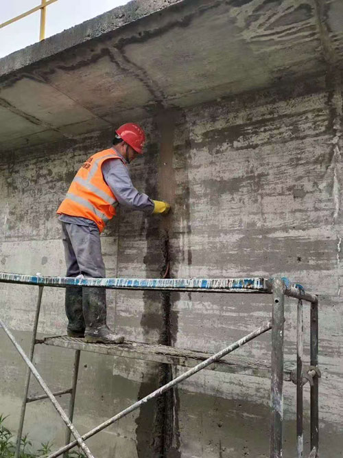 亚洲精品久久国产高清情趣