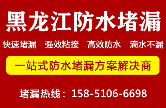亚洲精品久久国产高清情趣